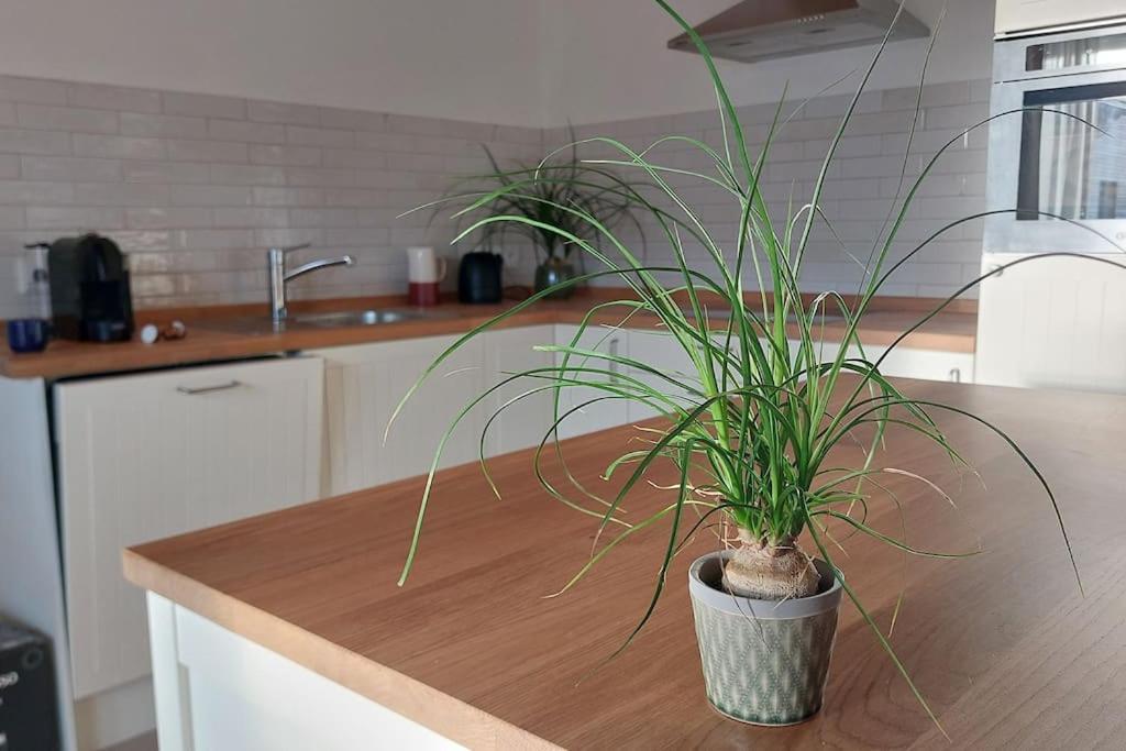 Ferienwohnung Stern Unterthingau Екстер'єр фото